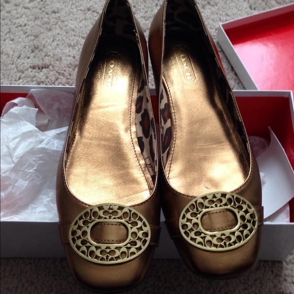 Coach metallic calf - Picture 1 of 3